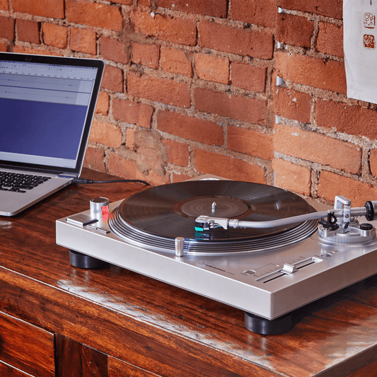 Audio Technica AT-LP120XUSB SV Direktdriven skivspelare (silver)